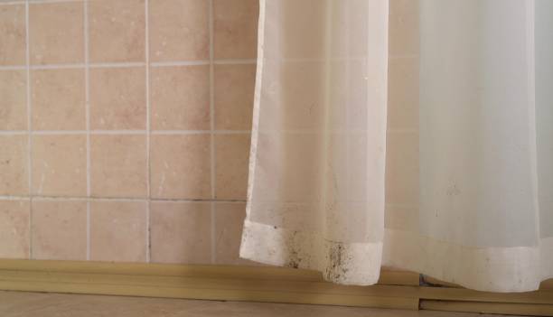 Best Commercial Mold Inspection  in Vadnais Heights, MN