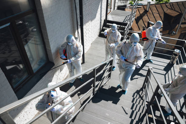 Best Residential Mold Inspection & Testing  in Vadnais Heights, MN