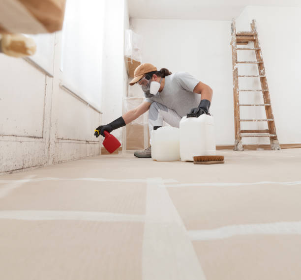 Best Water Damage & Mold Remediation  in Vadnais Heights, MN